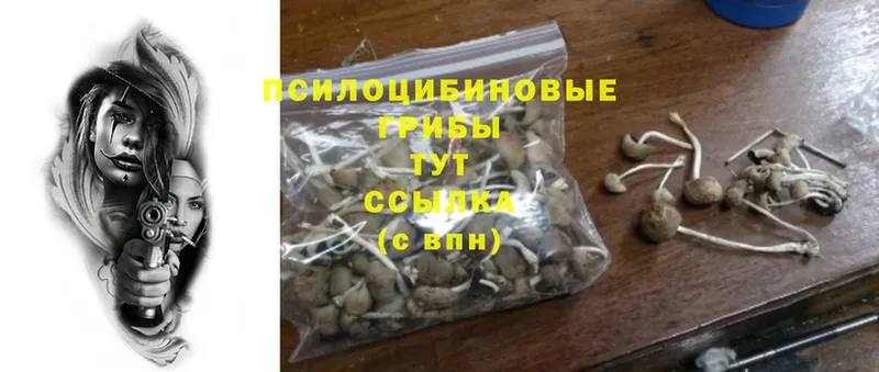 Галлюциногенные грибы Magic Shrooms  Азнакаево 